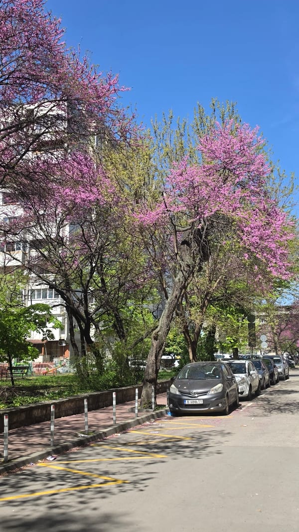 Spring street scene documented in Varna, Bulgaria