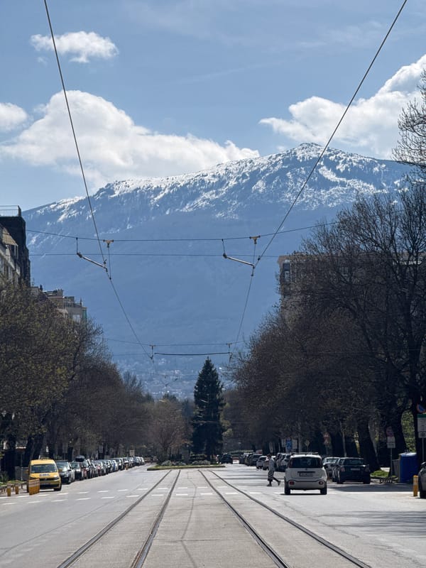 Urban street with tram tracks and parked cars observed