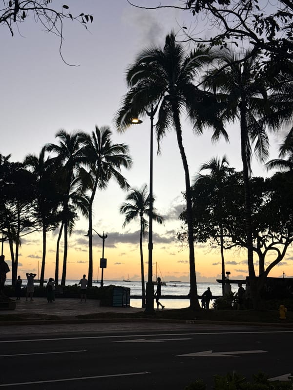 Twilight scene captured along Honolulu beachside road with palm trees