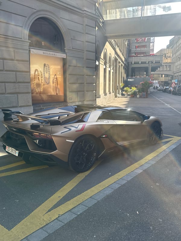 Witness documents busy Zurich streets and bookstore interiors