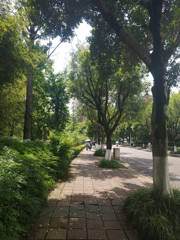 Morning routine captured across Chongqing High-tech Zone campus areas