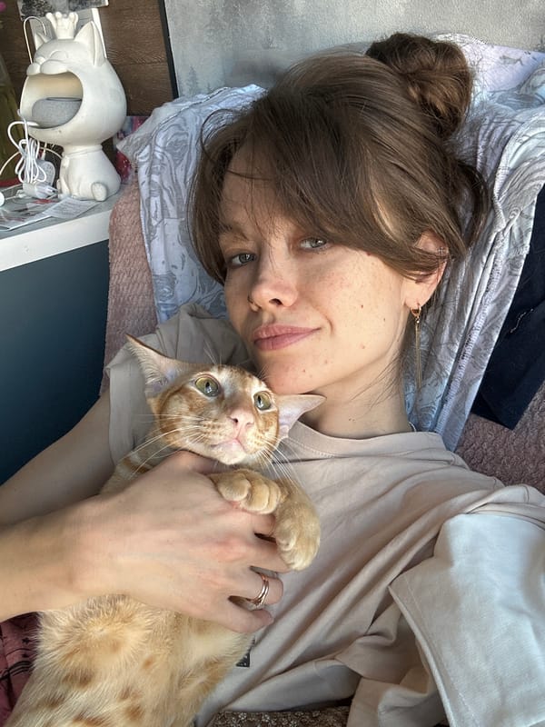 At home with a curious tabby cat and an easel