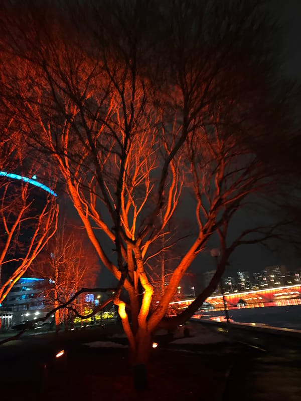 Evening scenes captured across Yekaterinburg during rainy weather