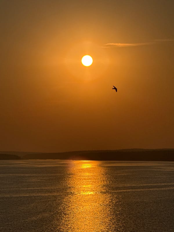 Warm summer sunset over the Votkinsk Reservoir, Russia