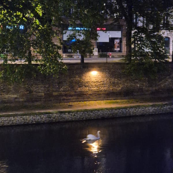 Street scene captured in Strasbourg showing traditional multi-story buildings