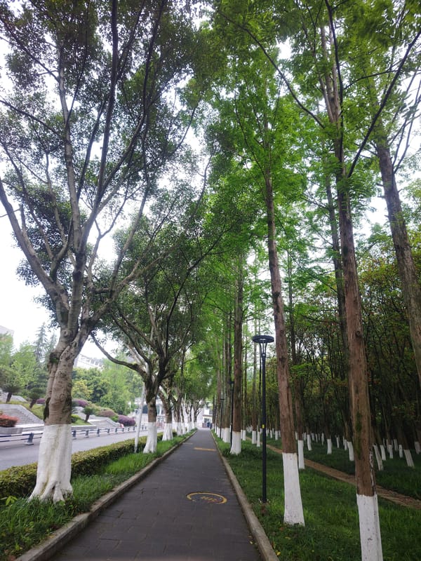 Early morning urban scenes documented in Chongqing High-tech Zone