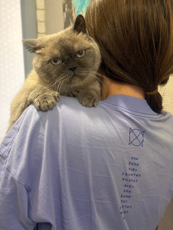 Gray cat spotted clinging to person's shoulder in Rostov-on-Don