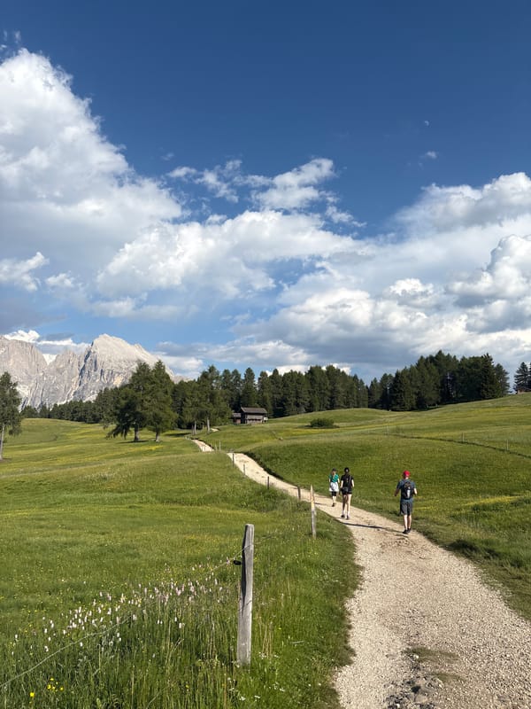 Afternoon exploring a wildflower meadow beneath mountain peaks
