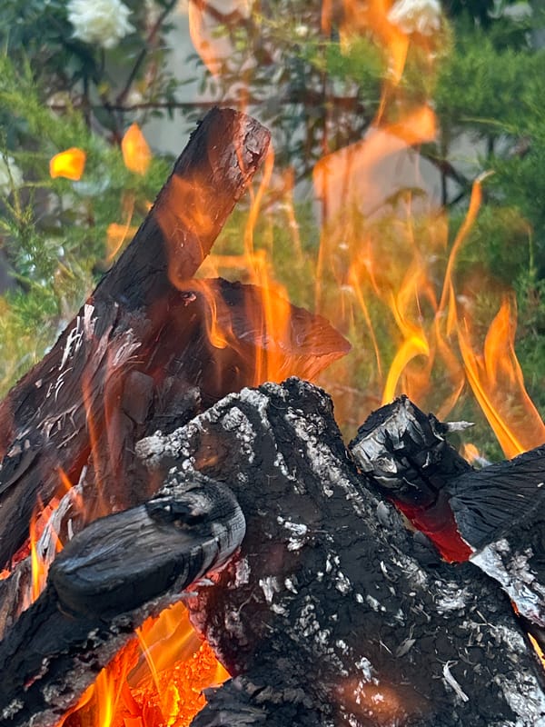 Outdoor gathering features fires, grilled food, music and drinks