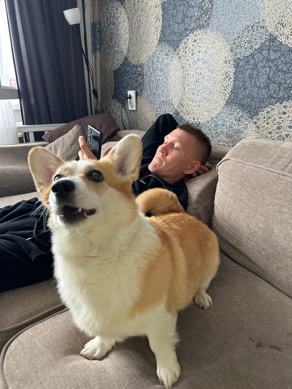 Low-key morning at home with pets, snacks, and selfies