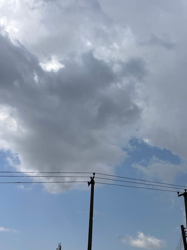 Street and plant life along Barakin Lerawi under a shifting sky