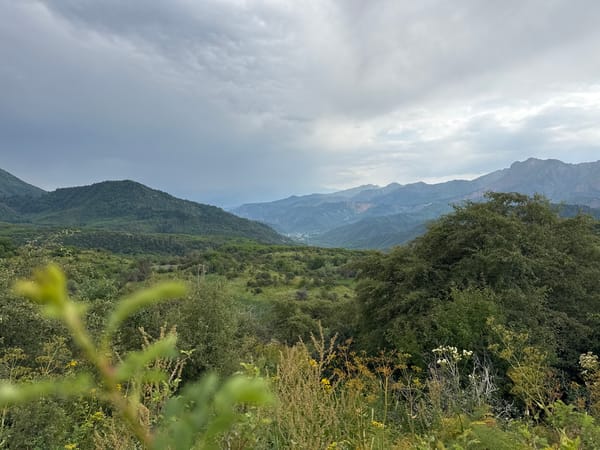 Wildflowers and green hills in Kyrgyzstan's Arkit valley