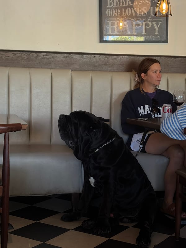 Woman dines with dog at Key Biscayne restaurant
