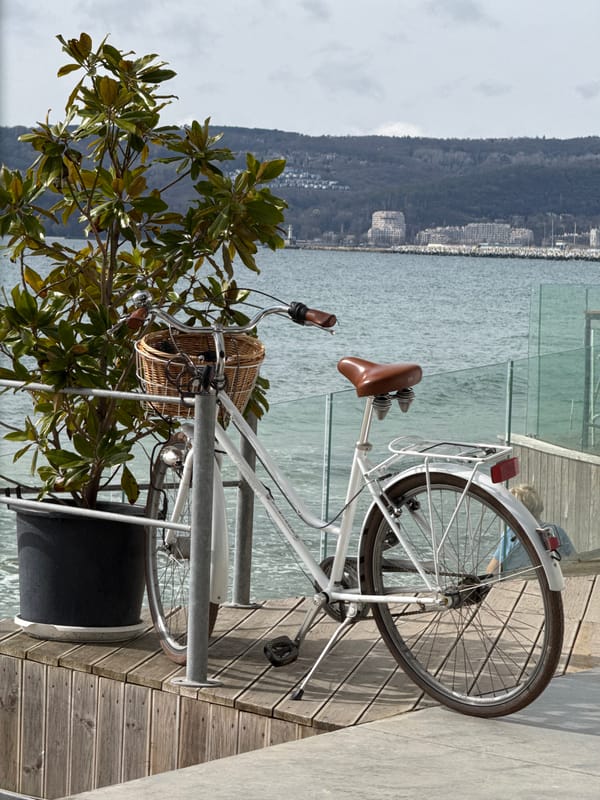Morning coastal scenes captured along Varna Bulgaria waterfront