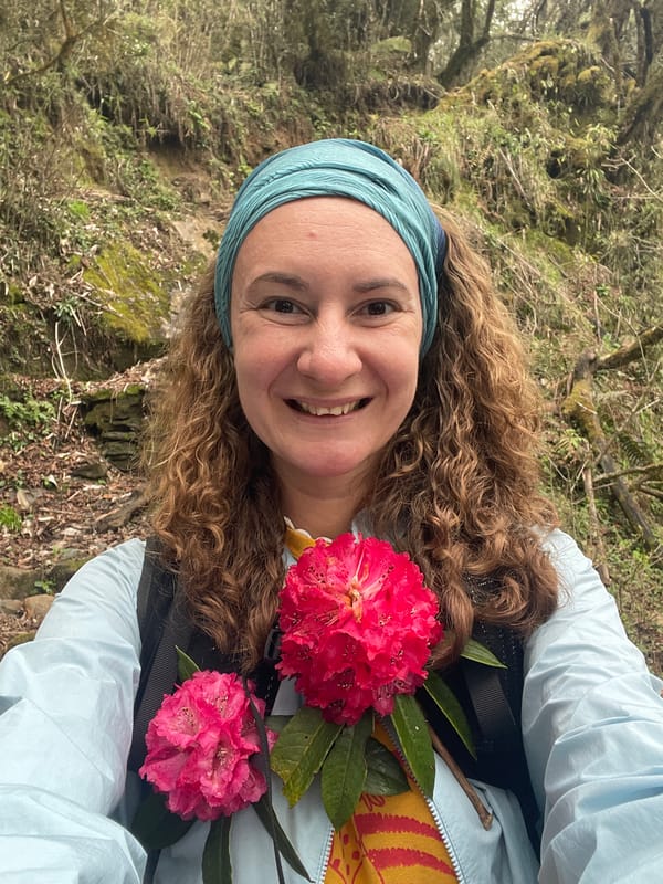 Hikers encounter yaks, mules on Himalayan trails near Lumle