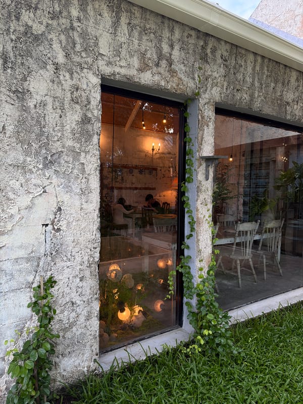 Garden cafe bustling with phone-checking patrons in Chang Phueak