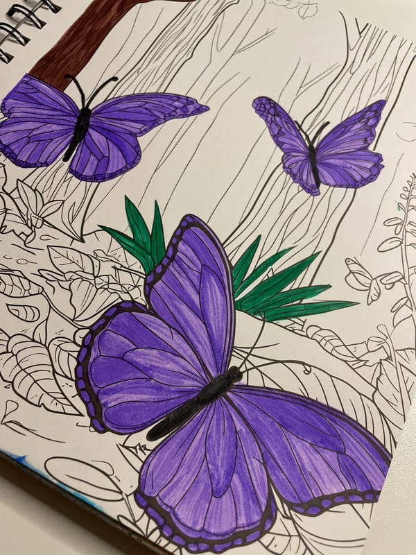 Coloring books, LEGO flowers, and kinetic sand in Hennef