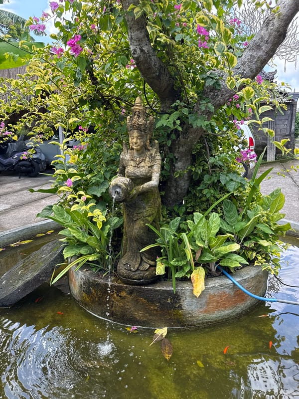 Morning scenes documented in Sukawati featuring water sculpture, floral arrangements
