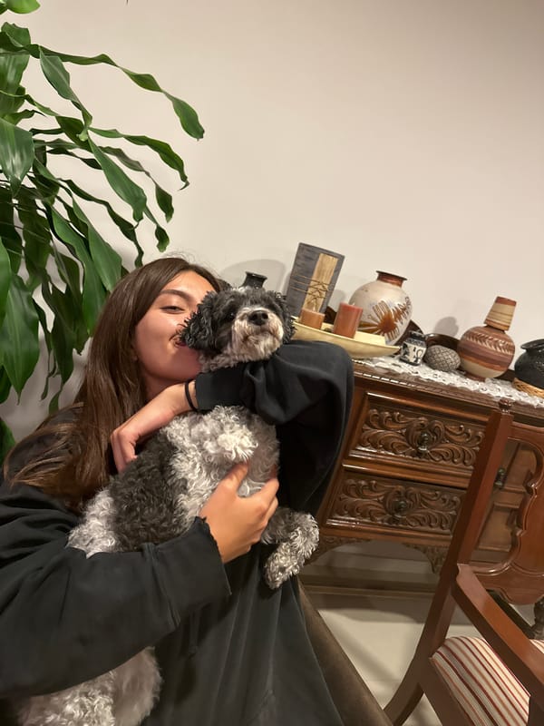 Person with dog spotted in Mexican neighborhood early morning