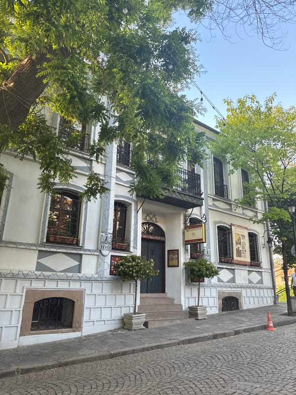 Plovdiv's historic architecture and cobblestone streets documented by observers