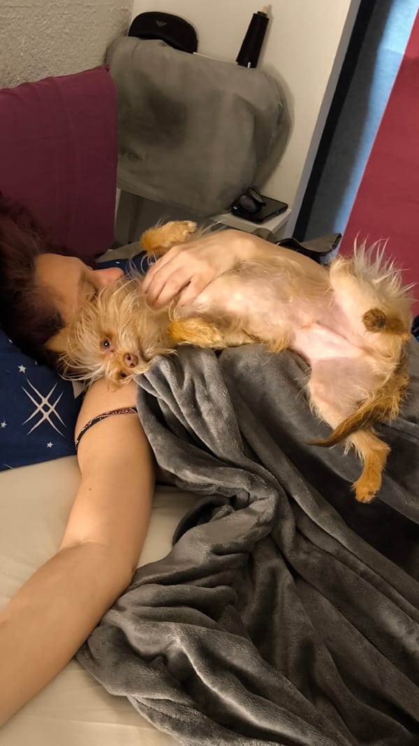 Woman and dog share quiet morning moment in Ripollet