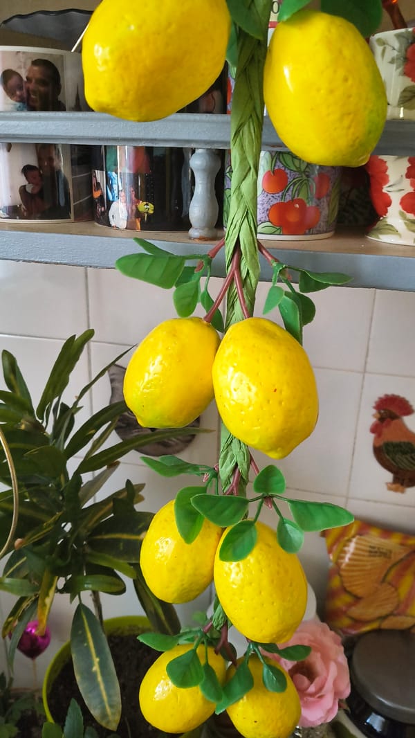 Morning documentation of home decorations and ATM visit in Shumen