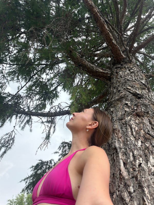 Summer park selfies among pine and birch trees in Tomsk