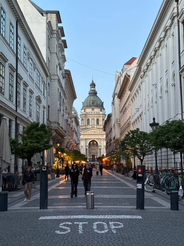 Street view captured near St. Stephen's Basilica in Budapest