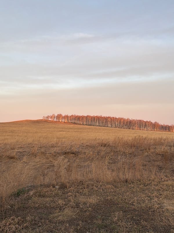 Evening landscape documented in rural Bazandaikha, Russia