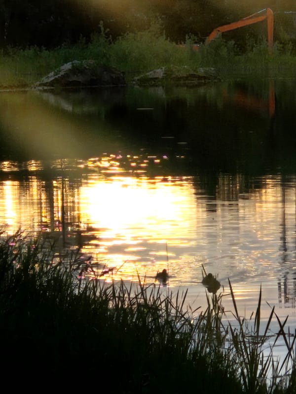 Sunset observed over water in Bykovo, Russia
