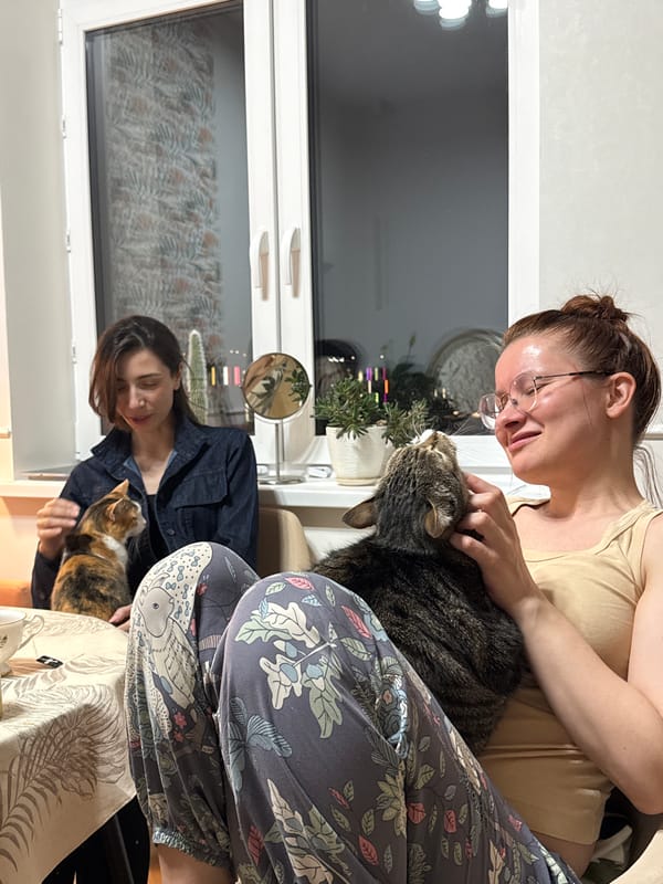 Two women pet cats indoors in Perm