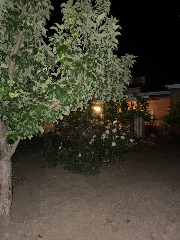 Night tour of a blooming backyard garden in rural Russia