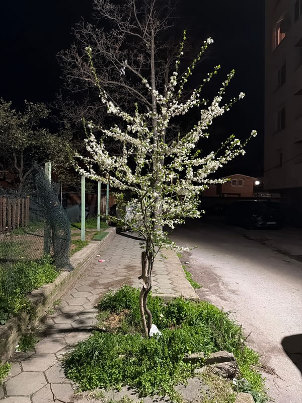Evening scenes and selfie captured in Pazardzhik, Bulgaria