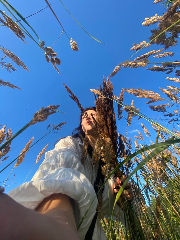 Golden-hour meadow shoot in Berkuty's dry grasslands