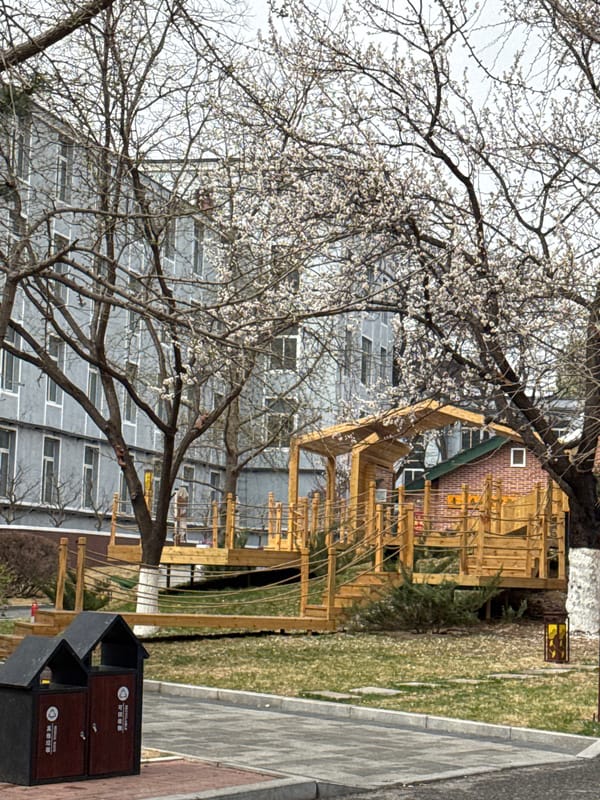 Spring scene with trees documented in Zhongtun, China
