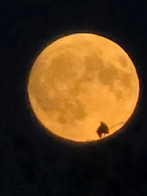 Orange full moon rising over Kelsterbach, July evening
