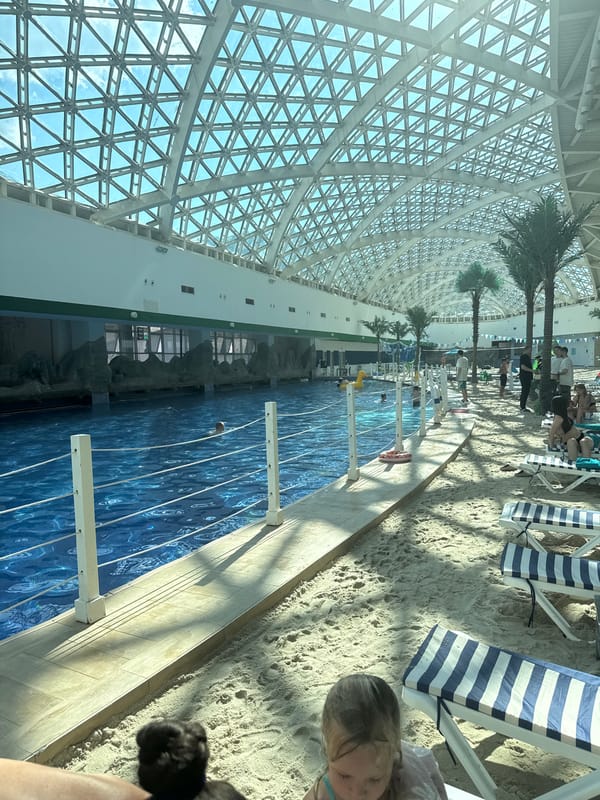 Inside Gazprom's indoor beach resort in Estosadok, Russia