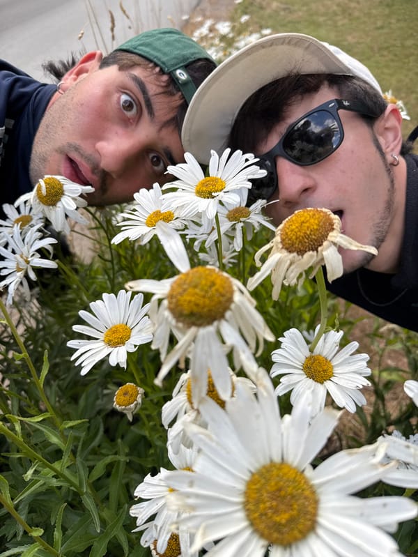 Young men explore daisy fields, roads near Bariloche, Argentina