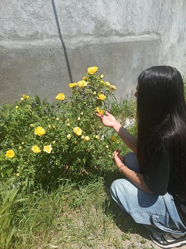 Woman enjoys quiet morning among roses, books, and neighborhood scenery