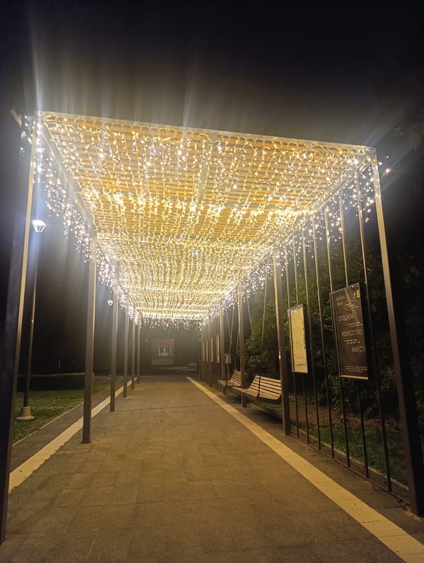 Evening at a lakeside park: lights, food, and a stray cat