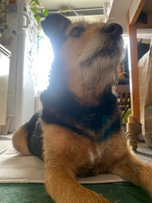 Morning domestic moments captured across Moscow households