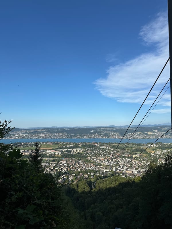 Felsenegg hilltop views over Lake Zurich on a clear afternoon