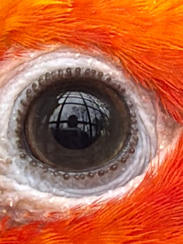 Zoo visit documented in Esch-sur-Alzette, Luxembourg