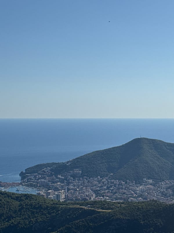 Coastal city views from a scenic mountain overlook
