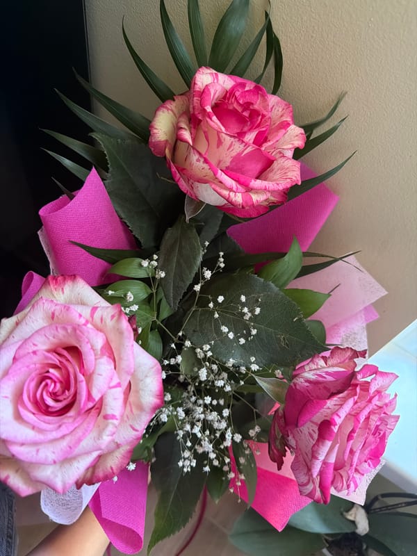 Pink-white striped rose bouquet photographed in Varna, Bulgaria