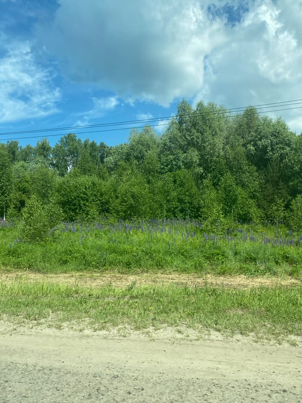 Blonde traveler journeys through Russian countryside near Vasilyevo