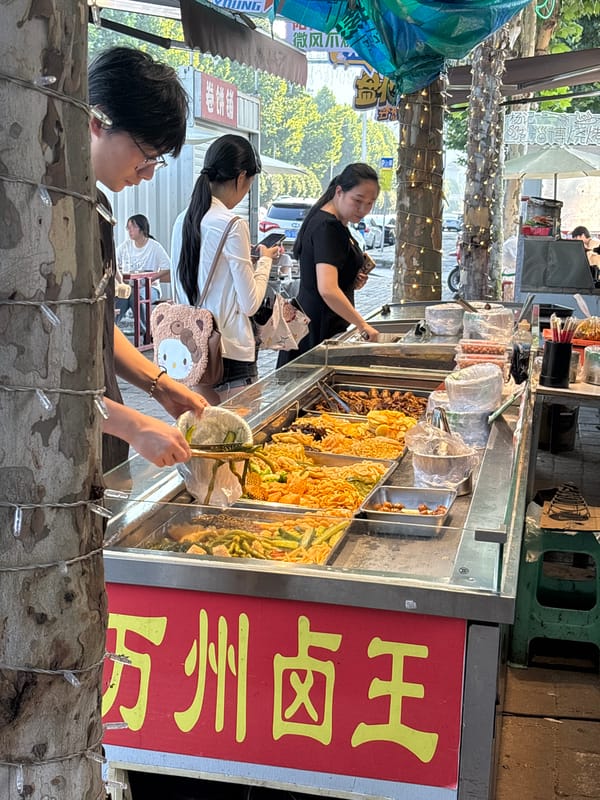 Wanzhou braised food stall in Jiangjin, mid-morning