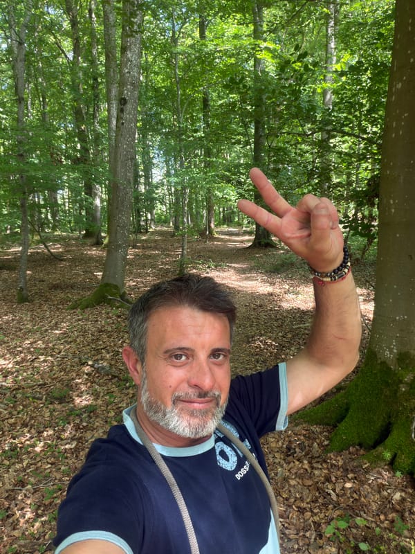 Man walks dog through Luxembourg countryside on sunny afternoon