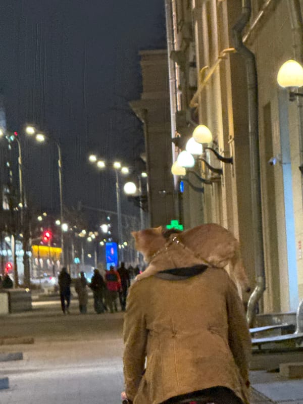 Nighttime street scene captured in Moscow