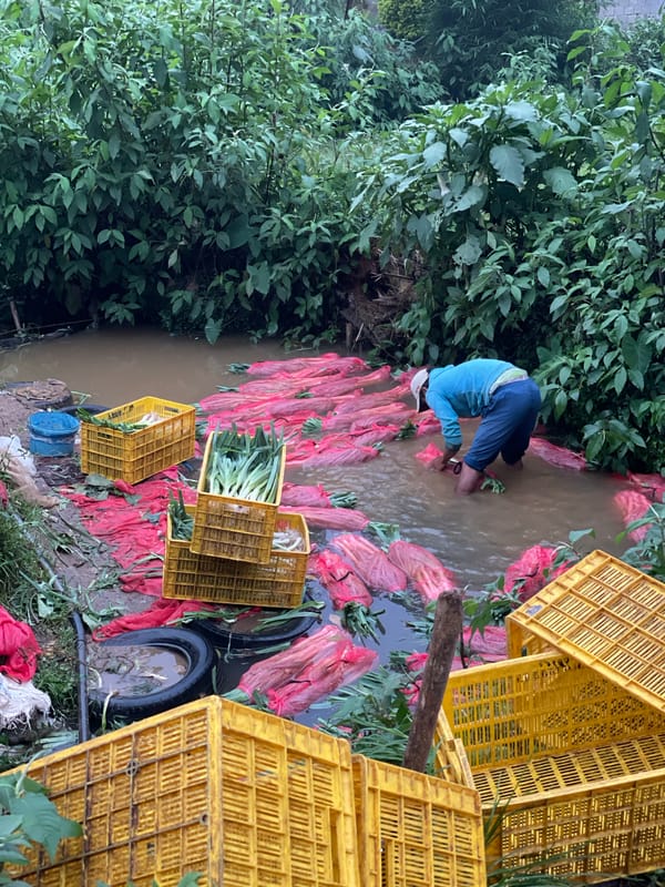 Daily life continues in misty Seetha Eliya conditions
